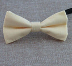 Bow tie - Barking Billionaire