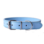 Color Classic - Barking Billionaire